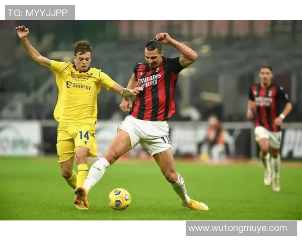 24号球员的精彩瞬间足球明星集锦回顾与分析