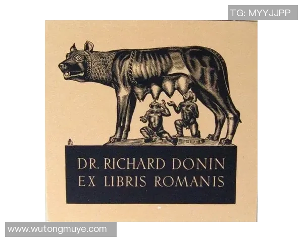 法国孤儿足球明星的传奇故事与奋斗历程揭秘