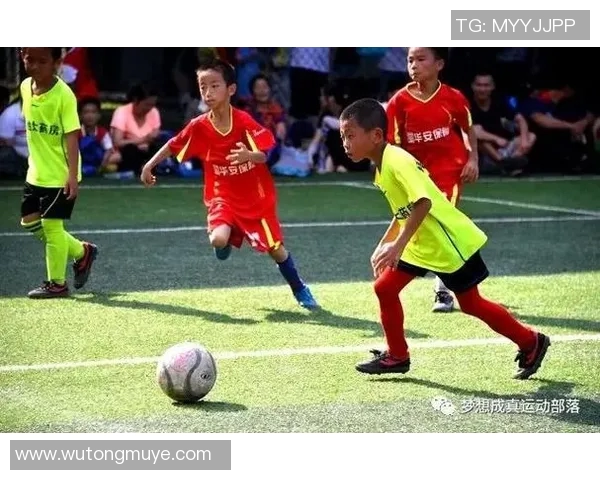 东莞市大朗梦星园体育培训中心助力青少年成长与健康发展新篇章